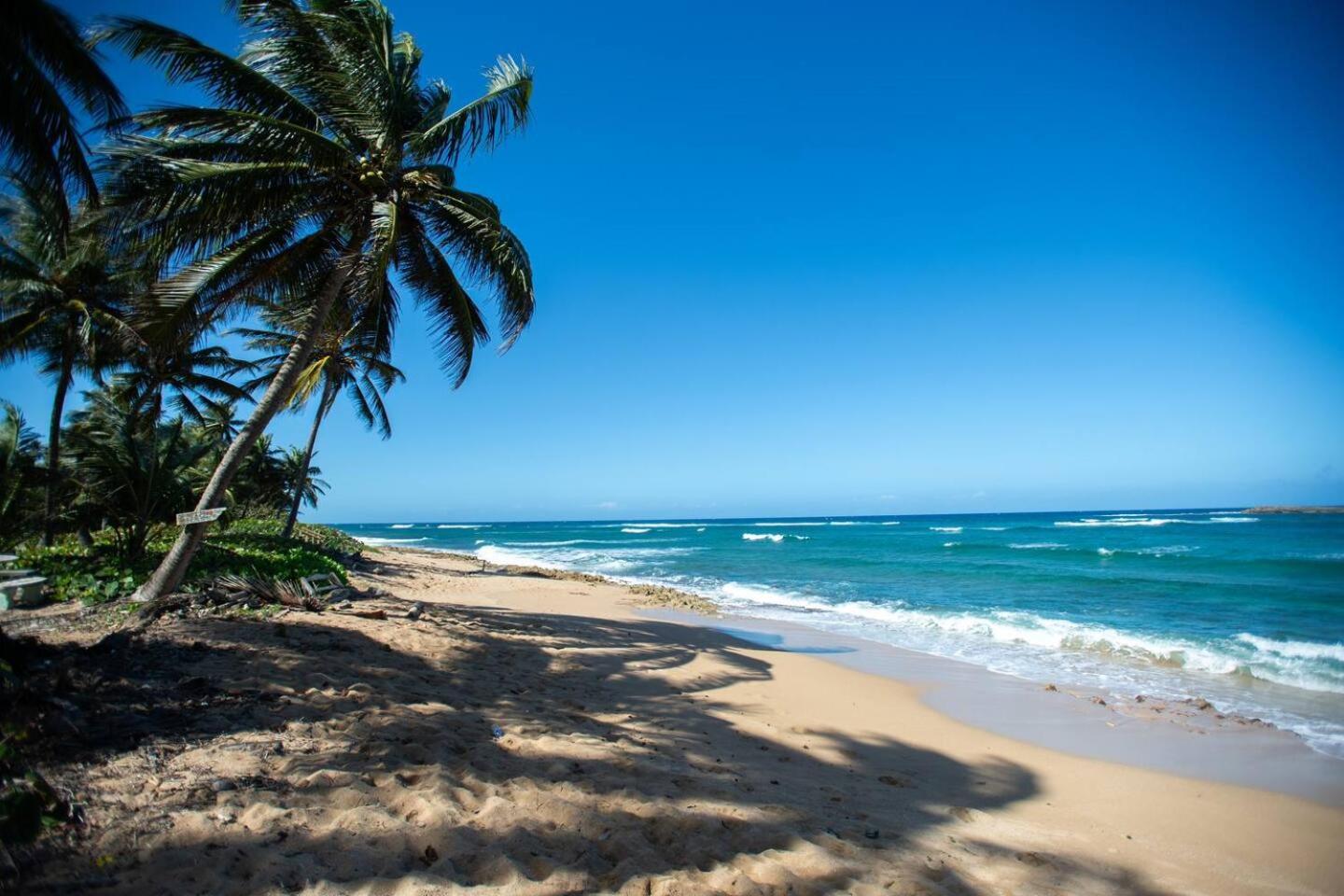 White Paradise Beach House Your Coastal Haven Appartement Vega Baja Buitenkant foto