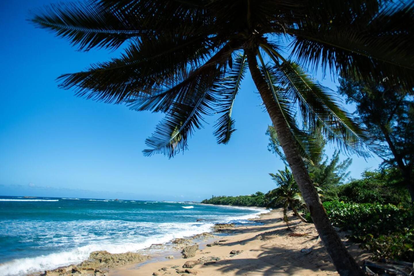 White Paradise Beach House Your Coastal Haven Appartement Vega Baja Buitenkant foto