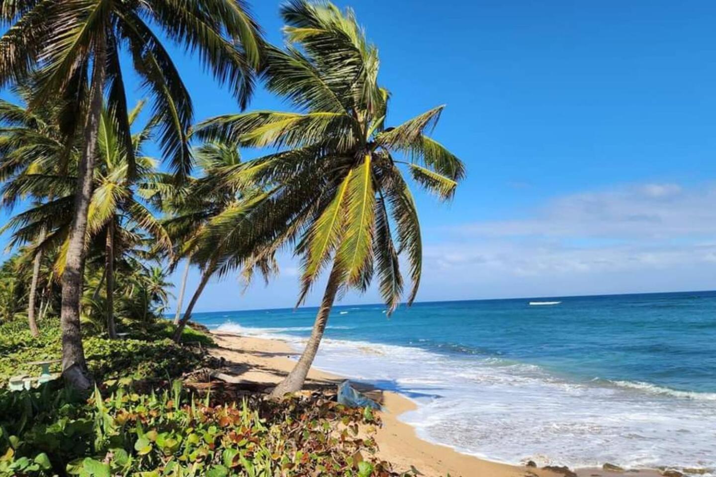 White Paradise Beach House Your Coastal Haven Appartement Vega Baja Buitenkant foto